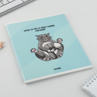 Тетрадь в клетку, 48 листов А5 на скрепке МИКС &laquo;1 сентября: Котики&raquo;, обложка мелованный картон 230 гр внутренний блок №1, белизна 96%