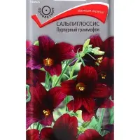 Семена цветов Сальпиглоссис Пурпурный граммофон, 0,01гр
