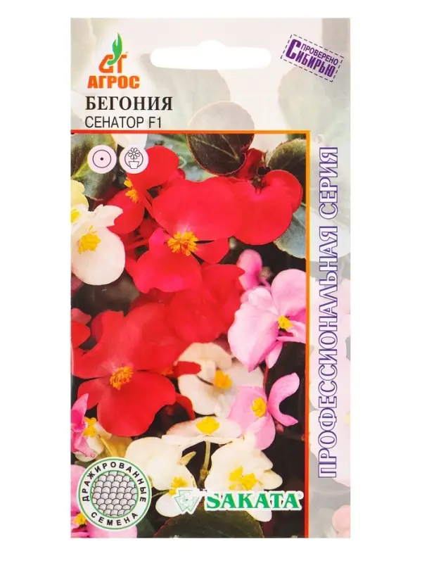 Семена Бегония "Сенатор"  F1 15 шт