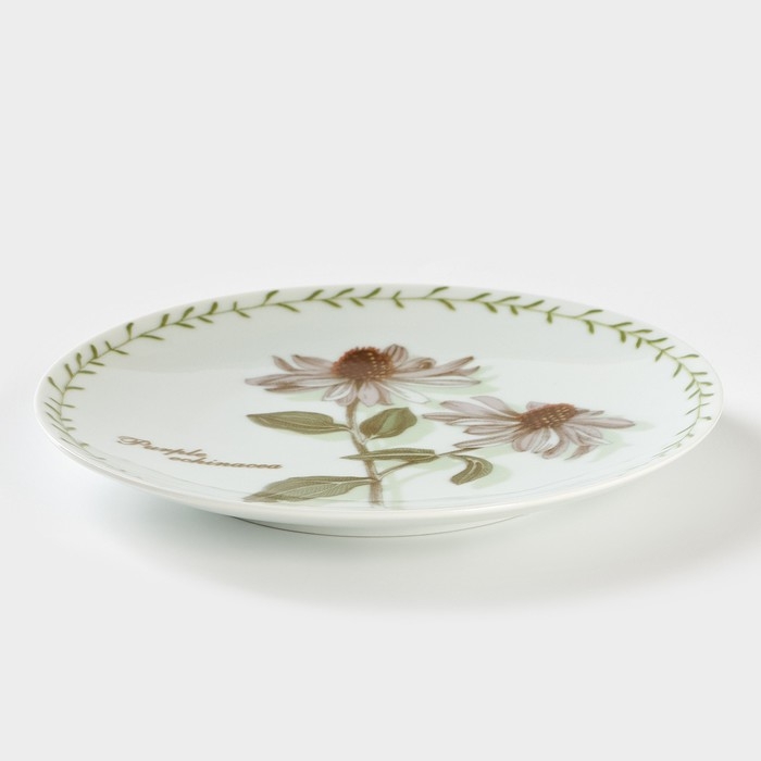 Тарелка фарфоровая &laquo;Ботаника&raquo;, d=20 см