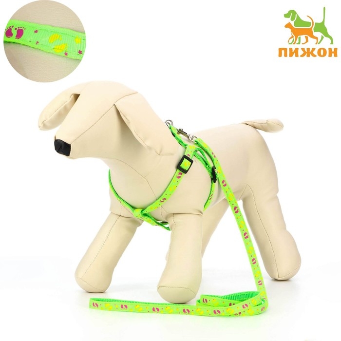 Комплект "Цветные следы", поводок 120 х 1 см, ОГ 23-35 см, зелёный