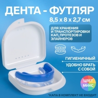 Контейнер для хранения протезов, 8,5 &times; 8 &times; 2,7 см, цвет МИКС