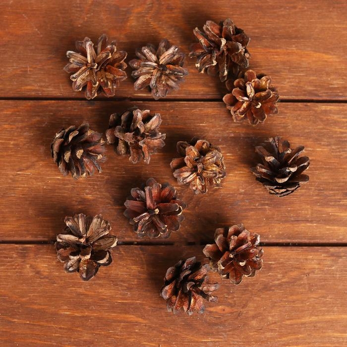 Новогодний декор &laquo;Набор натуральных шишек&raquo; 12 шт.