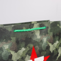 Пакет подарочный ламинированный вертикальный, упаковка, &laquo;Отечество&raquo;, L 31 х 40 х 11,5 см