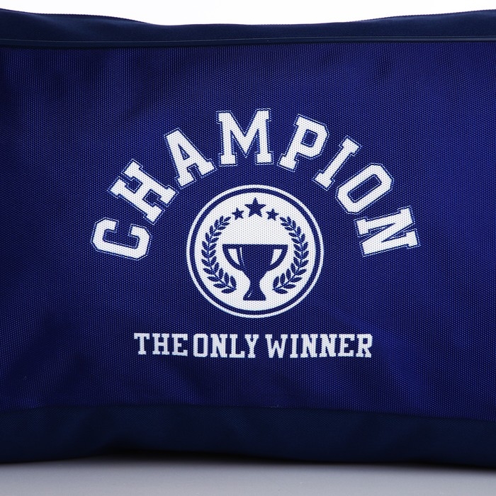 Сумка детская спортивная для мальчика &laquo;Чемпион&raquo;, 40х24х21, отд на молнии, синий