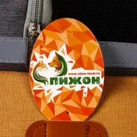 Рюкзак-переноска для кошек и собак, 30 х 21 х 41 см, серо-жёлтый