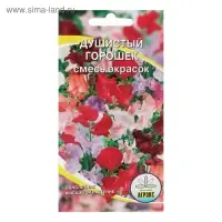 Семена цветов однолетние Душистый горошек 10 шт