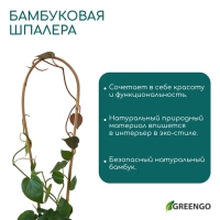 Дуга для подвязки растений, h=40 см, бамбук, Greengo