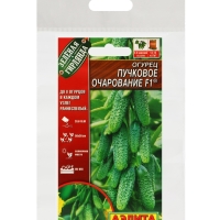 Семена Огурец "Пучковое очарование", F1,набор 5 шт