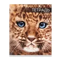 Тетрадь 48 листов в клетку, Calligrata &laquo;Дикие кошки&raquo;, обложка мелованная бумага, МИКС