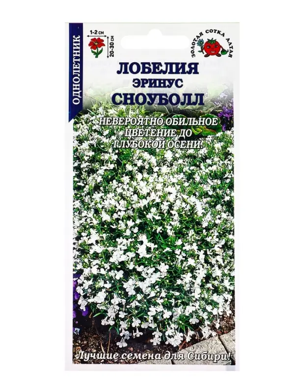 Семена Лобелия Сноуболл эринус /Сотка/ 0,05 г/*1800