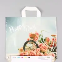 Пакет "Счастливый день", полиэтиленовый с петлевой ручкой, 38 х 34 + 3 см, 70 мкм