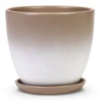 Горшок цветочный с поддоном 5 л, d122/h19,5 см капучино керамика, "Туман" (М)