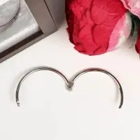 Кольцо для творчества (для фотоальбомов) "Серебро" внутр. d= 5,5 см внешн. d=6 см