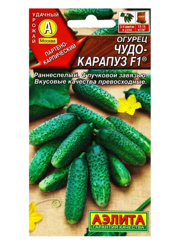 Семена Огурец "Чудо карапуз F1", 10 шт.