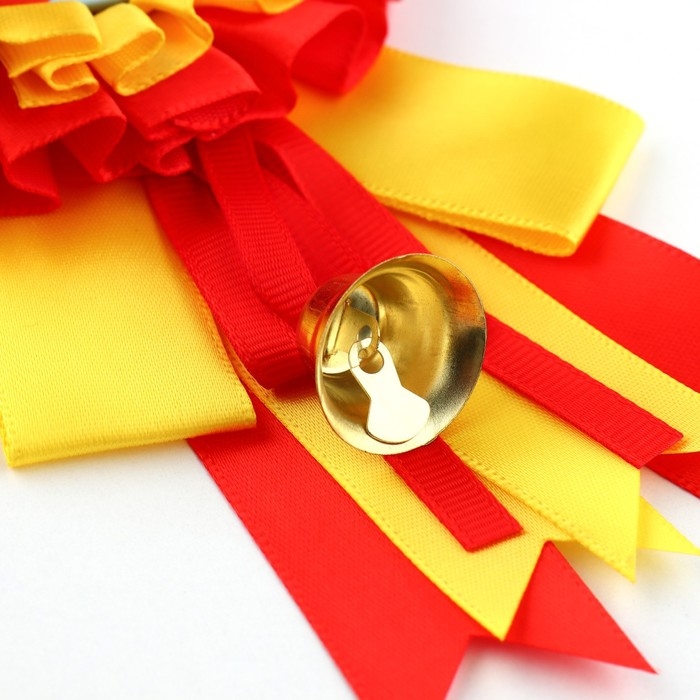 Значок - орден на Выпускной &laquo;Выпускник детского сада&raquo;, d = 9 см