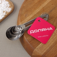 Набор мерных ложек Доляна &laquo;Металлик&raquo;, 4 шт: 1,25/2,5/5/15 мл, цвет серебристый