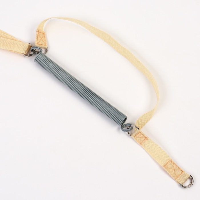 Прыгунки №1, 2в1 &laquo;Сердечки&raquo; (прыгунки, качели, тарзанка)