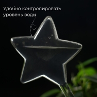 Автополив для комнатных растений, ПВХ, &laquo;Звезда&raquo;, 100 мл, Greengo