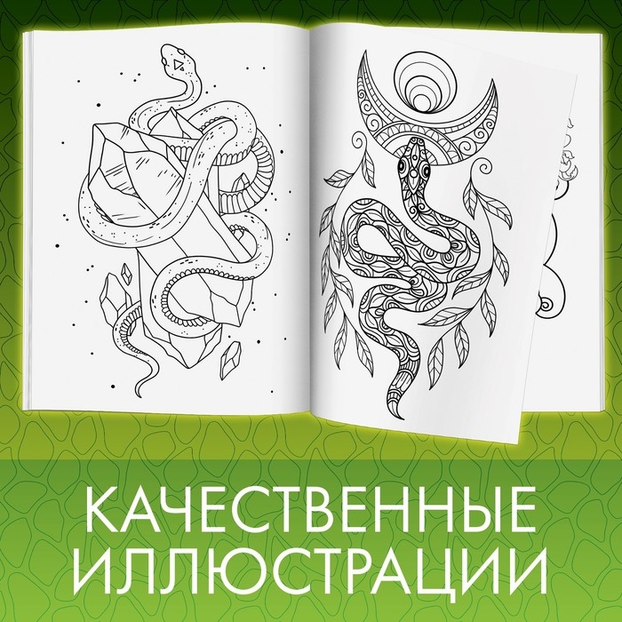 Раскраска &laquo;Прекрасные и опасные змеи&raquo;, 20 &times; 28, 32 раскраски, формат А4