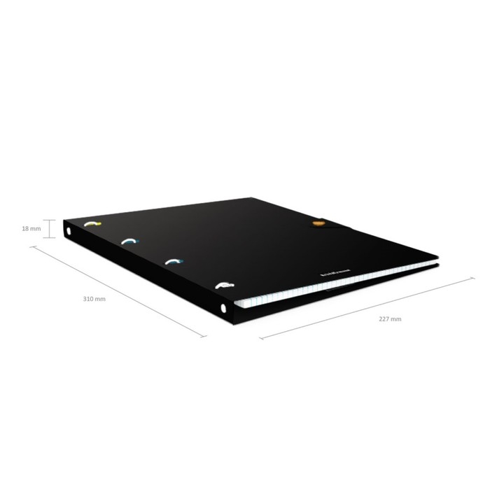 Тетрадь А4 на кольцах, 80 листов в клетку, ErichKrause Accent, пластиковая обложка, на кнопке, блок офсет 100% белизна, МИКС