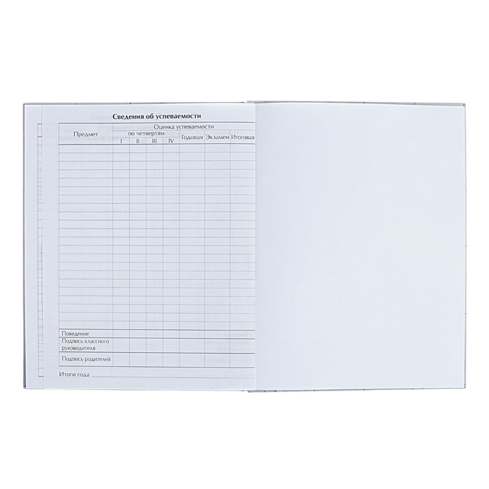 Дневник универсальный для 1-11 классов "Аниме. Парень на стиле", твёрдая обложка, глянцевая ламинация, 40 листов