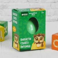 Растущие животные в яйце &laquo;Сова&raquo; МИКС