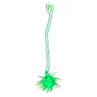 Липучка &laquo;Булава&raquo;дино, МИКС, в банке