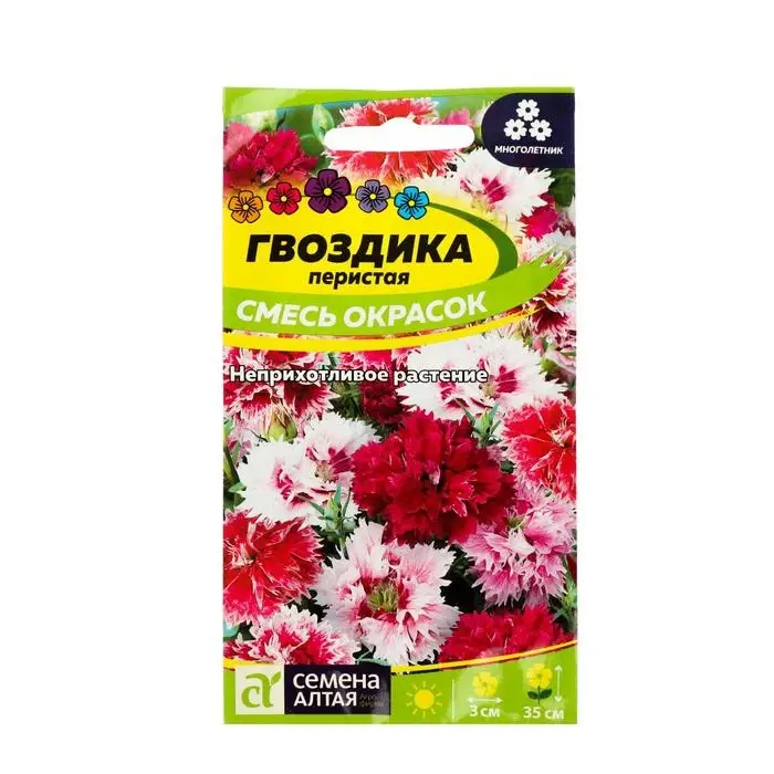 Семена цветов Гвоздика "Перистая", ц/п,  0,1 г