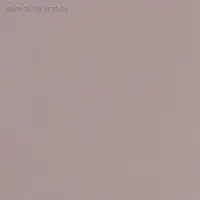 Пленка для цветов &laquo;Золотая полоса&raquo;, дымчатый, 58&times;58&plusmn;5% см