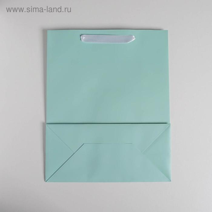 Пакет подарочный, упаковка, &laquo;Мятный&raquo;, 26 х 32 х 12 см