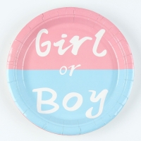 Набор одноразовой посуды &laquo;Гендер Пати&raquo;, 15 предметов