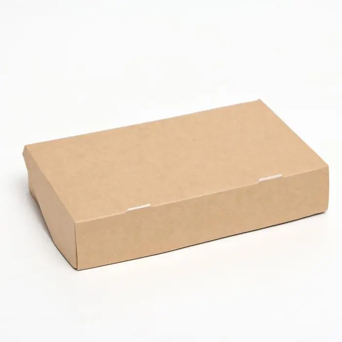 Контейнер на вынос, крафт, без окна, 20 х 12 х 4 см