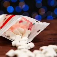 Пакет подарочный &laquo;Санта&raquo;, с zip - lock застежкой 18&times;22 см