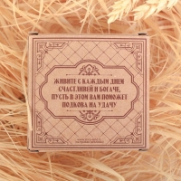 Подкова домовой &laquo;Счастья в дом&raquo;, 7 х 7 см