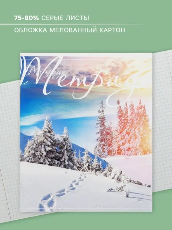 Тетрадь 48 листов в клетку Calligrata &laquo;Пейзаж&raquo;, обложка мелованный картон, блок №2, белизна 75% (серые листы), МИКС