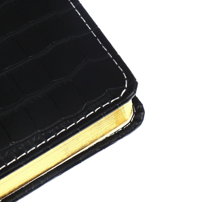 Ежедневник датированный 2024 A5 176 листов, deVENTE.Wild, твёрдая обложка из искусственной кожи, золотой срез, ляссе, кремовый блок 70 г/м2, чёрный