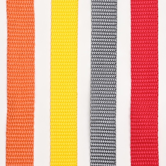 Поводок капроновый цветной Зооник, 3 м х 2 см,  микс цветов