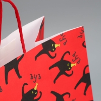 Пакет подарочный крафтовый, упаковка, &laquo;Поздравляю&raquo;, 28 х 32 х 15 см