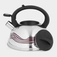 Чайник со свистком из нержавеющей стали Доляна &laquo;Волна&raquo;, 2,8 л, с индикатором нагрева, фиксированная ручка