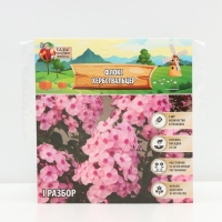 Флокс &laquo;Хербствальцер&raquo; корневище в пакете с торфогрунтом, р-р I, 2 шт.