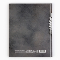 Дневник школьный 5-11 класс, в твердой обложке, 48 л. &laquo;Россия&raquo;