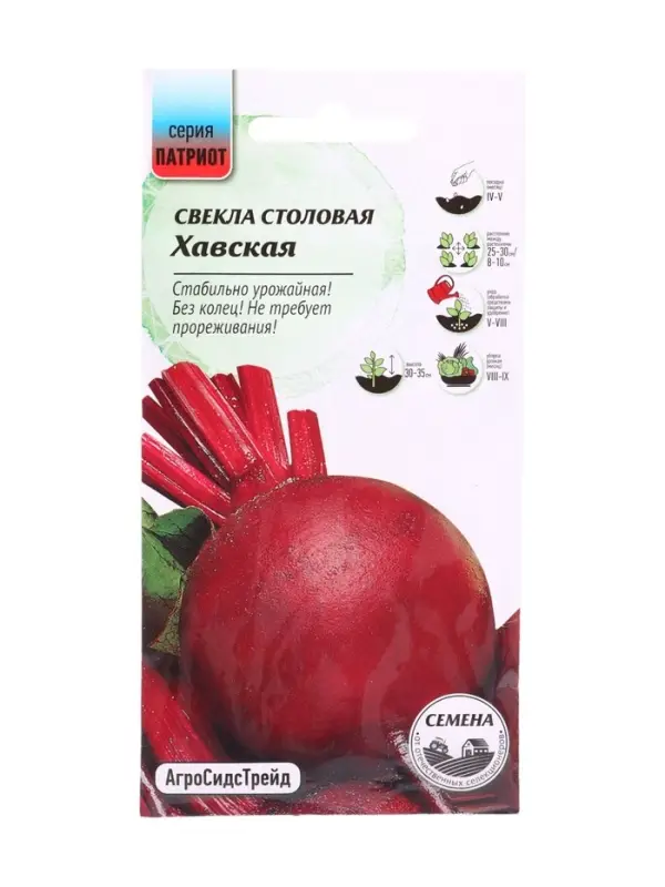 Семена Свекла Хавская 2 г