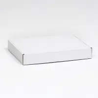 Коробка для пирога, белая, 32,6 x 22,9 x 4,8 см