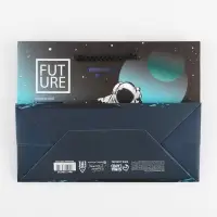 Пакет подарочный ламинированный, упаковка, &laquo;Космос&raquo;, MS 18 х 23 х 10 см