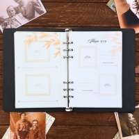 Родословная книга со встроенной флешкой 16 Gb &laquo;Наше фамильное дерево&raquo;, 17,5 х 23 см.