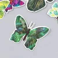 Набор магнитов на холодильник &laquo;Листья&raquo;, 12 шт., картон, h=4-10 см