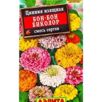 Семена цветов Цинния Бон-бон биколор, смесь сортов , Ц/П,0,3 г