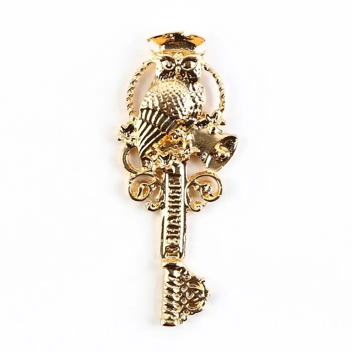 Ключ сувенирный на выпускной &laquo;Ключ к знаниям&raquo;, металл, 2&times;4.8 см