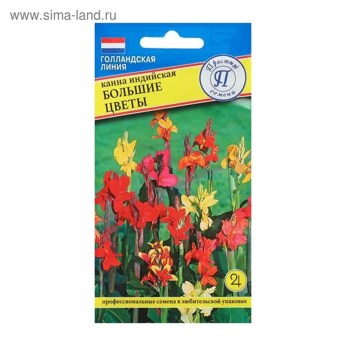 Семена цветов Канна индийская "Большие цветы", 3 шт